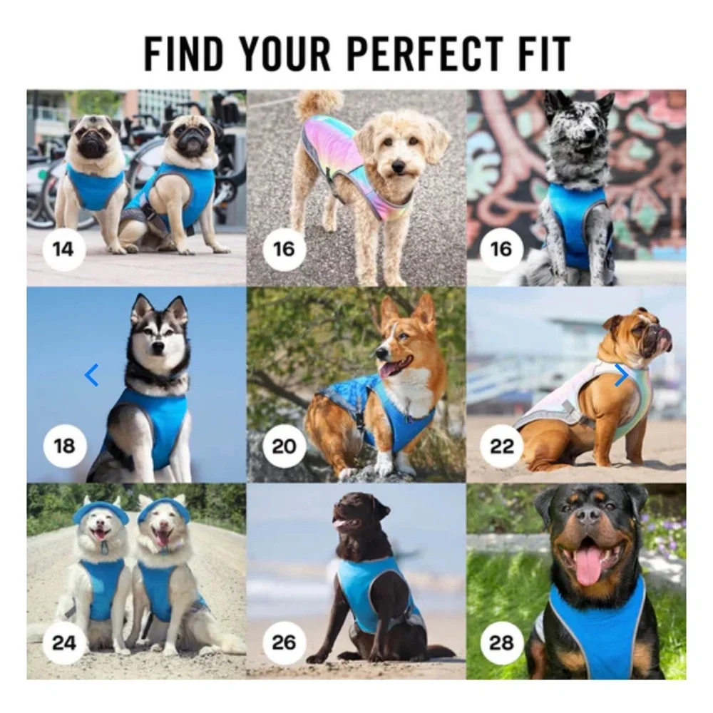 Canada Pooch Chill Seeker Cooling Vest - Blue - Size 12